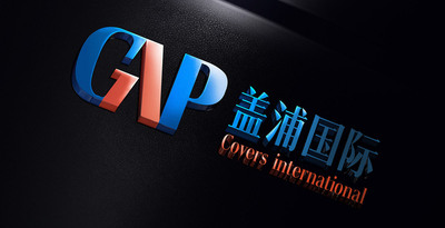 盖浦国际.jpg